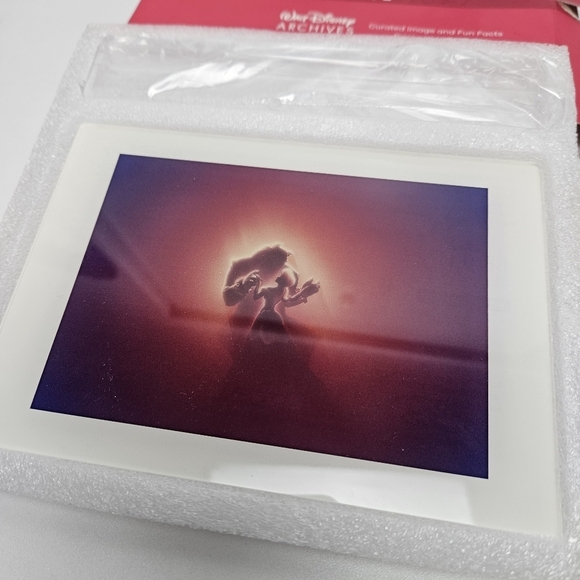 Beauty and the beast artwork acrylic frame - Picture 3 of 8